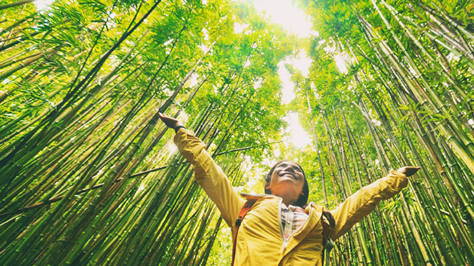 category banner three